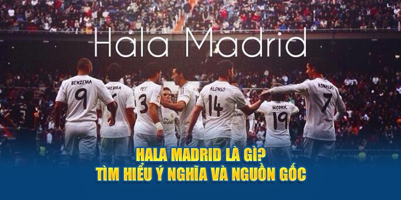 hala madrid là gì luongsontv